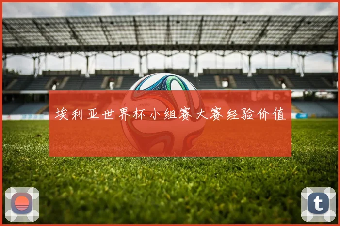 埃利亚世界杯小组赛大赛经验价值