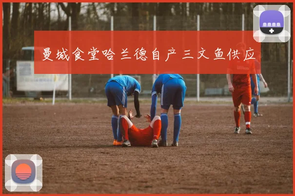 曼城食堂哈兰德自产三文鱼供应