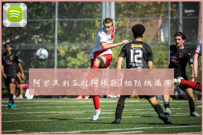 阿尔及利亚对阿根廷J组防线漏洞