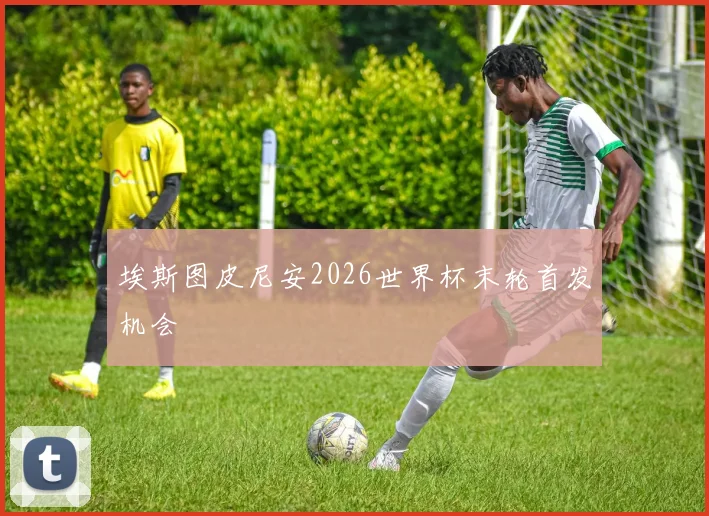 埃斯图皮尼安2026世界杯末轮首发机会