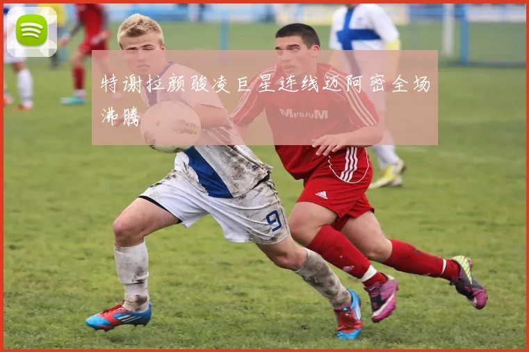 特谢拉颜骏凌巨星连线迈阿密全场沸腾