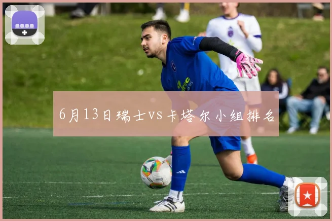 6月13日瑞士vs卡塔尔小组排名