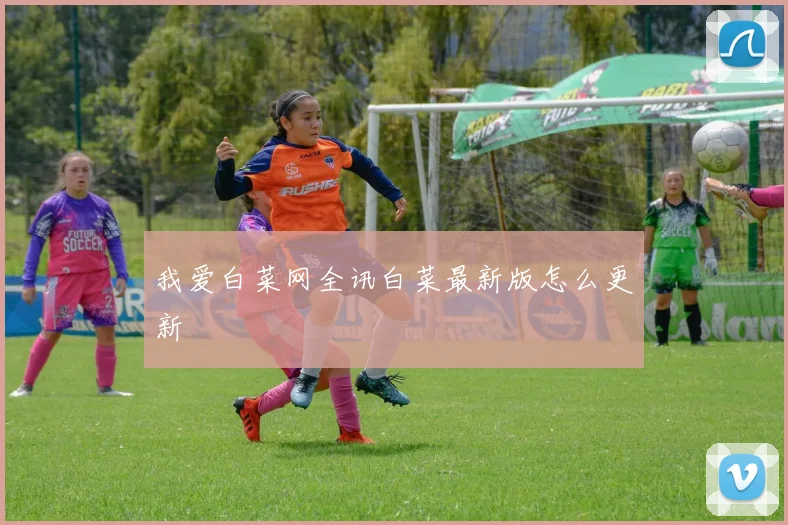 我爱白菜网全讯白菜最新版怎么更新