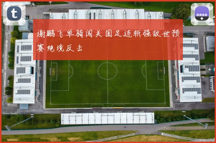 谢鹏飞单骑闯关国足连斩强敌世预赛绝境反击