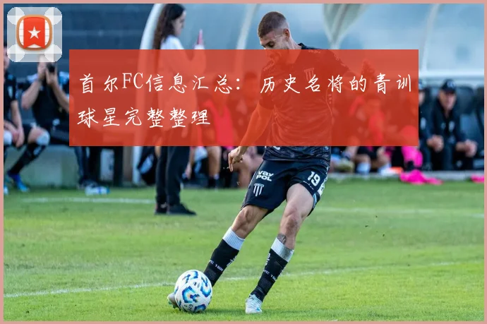 首尔FC信息汇总：历史名将的青训球星完整整理