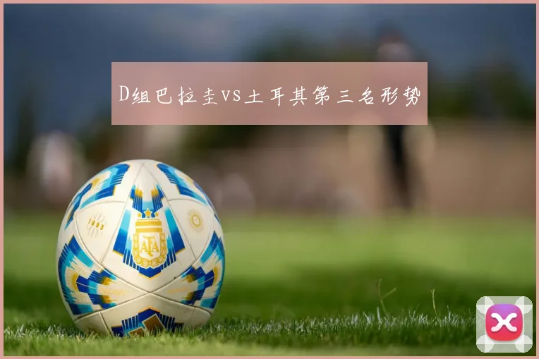 D组巴拉圭vs土耳其第三名形势
