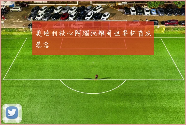 奥地利核心阿瑙托维奇世界杯首发悬念