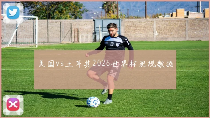 美国vs土耳其2026世界杯犯规数据